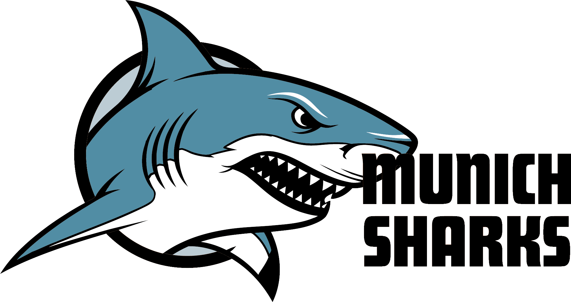 WILLKOMMEN BEIM EROLLIFUSSBALL